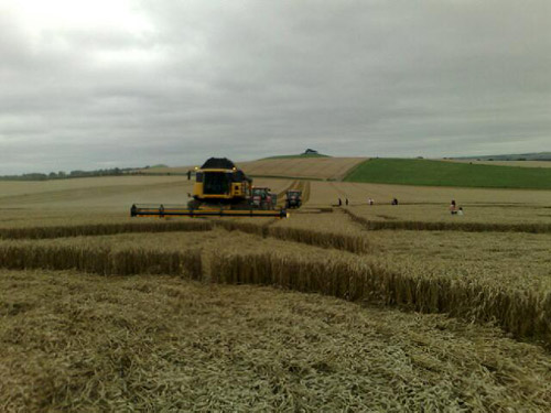 Eastfield (4), Wiltshire crop circle, aerial photo 25