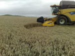 Eastfield (4), Wiltshire crop circle, aerial photo 49