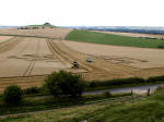Eastfield (4), Wiltshire crop circle, aerial photo 19
