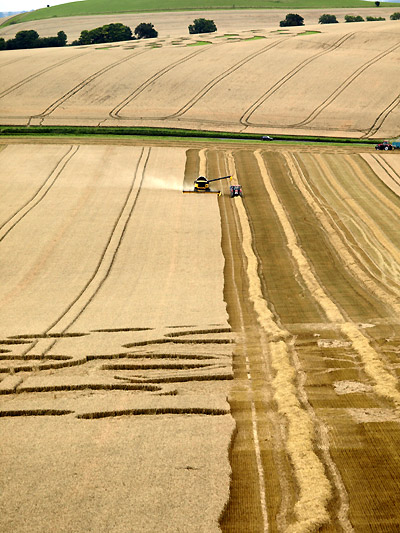 Eastfield (4), Wiltshire crop circle, aerial photo 21