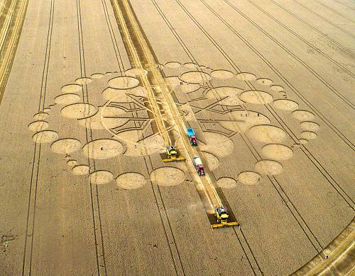 Eastfield (4), Wiltshire crop circle, aerial photo 14