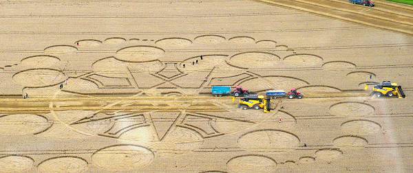 Eastfield (4), Wiltshire crop circle, aerial photo 15