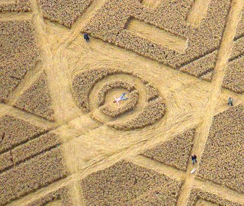 Eastfield (4), Wiltshire crop circle, aerial photo 13
