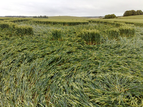 East Field, Wiltshire crop circle, aerial photo 83