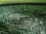East Field, Wiltshire crop circle, aerial photo 87