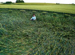 East Field, Wiltshire crop circle, aerial photo 85