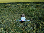 East Field, Wiltshire crop circle, aerial photo 86