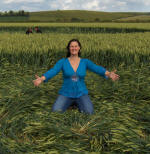 East Field, Wiltshire crop circle, aerial photo 69
