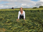 East Field, Wiltshire crop circle, aerial photo 68