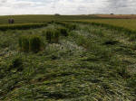 East Field, Wiltshire crop circle, aerial photo 64