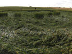 East Field, Wiltshire crop circle, aerial photo 62