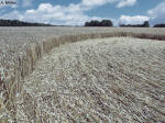 Hens Wood, Wiltshire crop circle, aerial photo 10