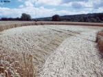 Hens Wood, Wiltshire crop circle, aerial photo 7