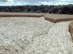 Hens Wood, Wiltshire crop circle, aerial photo 9
