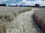 Hens Wood, Wiltshire crop circle, aerial photo 12