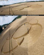 Hens Wood, Wiltshire crop circle, aerial photo 8