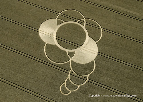 Hens Wood, Wiltshire crop circle, aerial photo 3