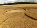 Hens Wood, Wiltshire crop circle, aerial photo 25