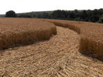 Hens Wood, Wiltshire crop circle, aerial photo 29