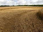 Hens Wood, Wiltshire crop circle, aerial photo 30