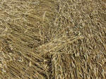 Hens Wood, Wiltshire crop circle, aerial photo 38