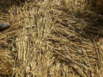 Hens Wood, Wiltshire crop circle, aerial photo 33