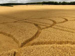 Hens Wood, Wiltshire crop circle, aerial photo 23