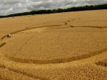 Hens Wood, Wiltshire crop circle, aerial photo 22