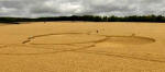 Hens Wood, Wiltshire crop circle, aerial photo 26
