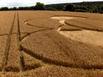 Hens Wood, Wiltshire crop circle, aerial photo 21