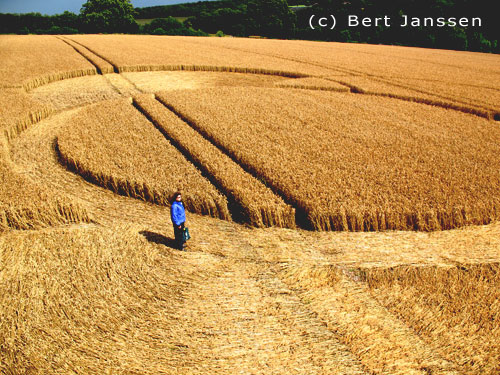 Hens Wood, Wiltshire crop circle, aerial photo 20
