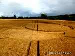 Hens Wood, Wiltshire crop circle, aerial photo 15
