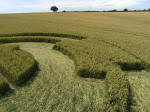 Hodson, Wiltshire crop circle, aerial photo 6