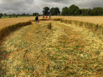 Allington Down, Wiltshire crop circle, aerial photo 37