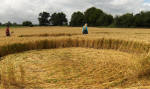 Allington Down, Wiltshire crop circle, aerial photo 36