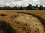 Allington Down, Wiltshire crop circle, aerial photo 32