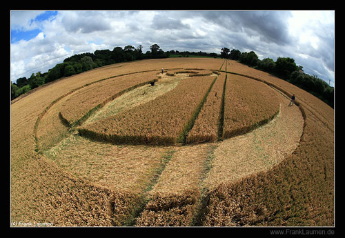 Allington Down, Wiltshire crop circle, aerial photo 25