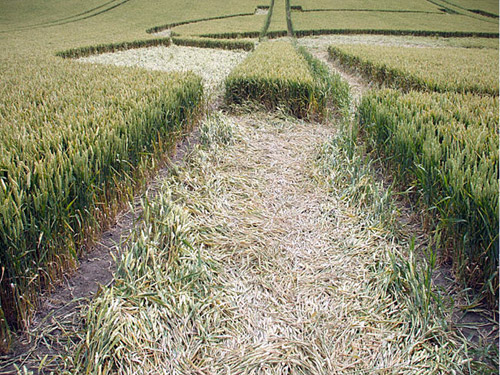 Horton, Wiltshire crop circle, aerial photo 23
