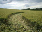 Horton, Wiltshire crop circle, aerial photo 24