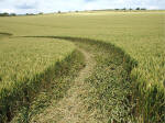 Horton, Wiltshire crop circle, aerial photo 26