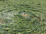Horton, Wiltshire crop circle, aerial photo 17
