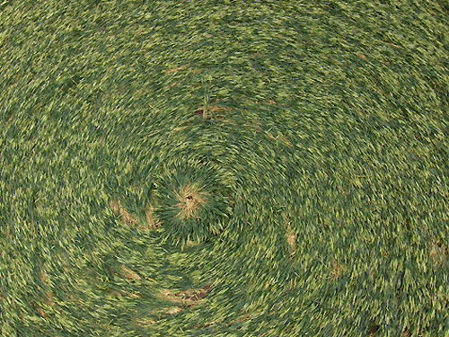 Horton, Wiltshire crop circle, aerial photo 8