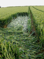 Horton, Wiltshire crop circle, aerial photo 13