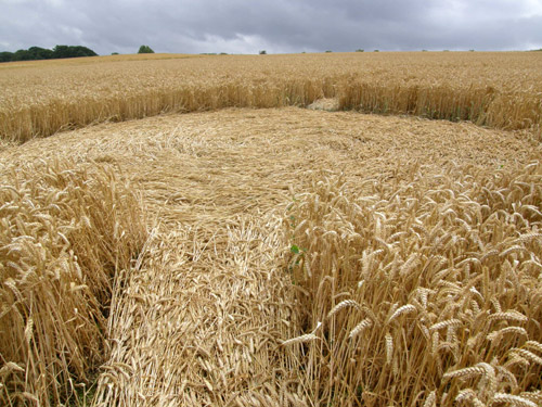 Beckhampton, Wiltshire crop circle, aerial photo 45