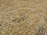 Beckhampton, Wiltshire crop circle, aerial photo 50