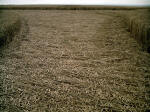 Liddington Castle, Wiltshire crop circle, aerial photo 14