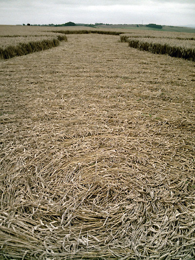 Liddington Castle, Wiltshire crop circle, aerial photo 5