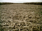 Liddington Castle, Wiltshire crop circle, aerial photo 8