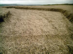 Liddington Castle, Wiltshire crop circle, aerial photo 7