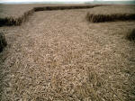 Liddington Castle, Wiltshire crop circle, aerial photo 9